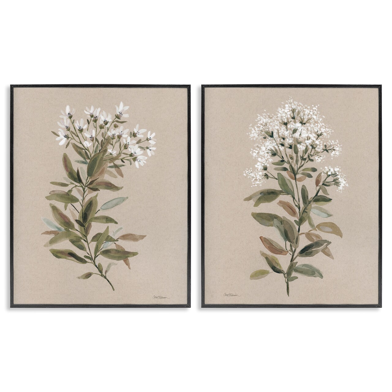 Stupell Industries Lovely White Floral Stem 2 pc Framed Giclee Wall Art Set Design by Carol Robinson